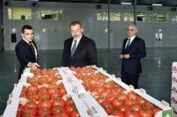 Prezident İlham Əliyev  “BAKU AGROPARK”da görülən işlərlə tanış olub