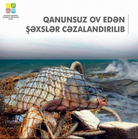 Qızılağac Milli Parkının ərazisində qanunsuz balıq ovlayan şəxslər saxlanılıb
