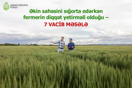 Əkin sahəsini sığorta edərkən fermerin diqqət yetirməli olduğu 7 vacib məsələ