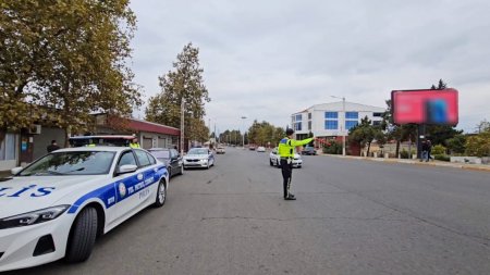 DYP Masallı rayon bölməsindən “Təmiz hava” aylığı