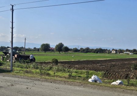 Çaxırlı ərazisində taxıl əkininə başlanılmışdır