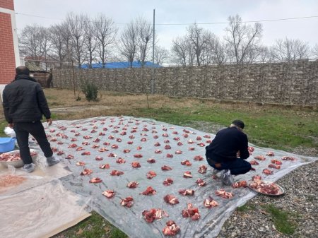 Masallı rayon Böyük Kolatan kəndində xeyriyyə aksiyası