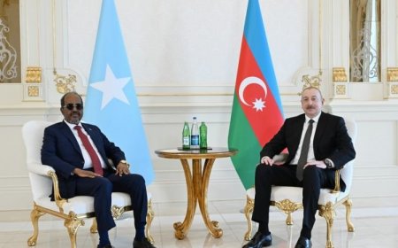 Somali Federativ Respublikasının Prezidenti Azərbaycana rəsmi səfərdə olmuşdur