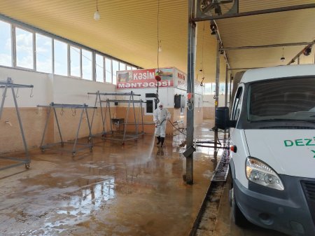 Masallıda ət kəsim məntəqələrində dezinfeksiya işləri aparılır