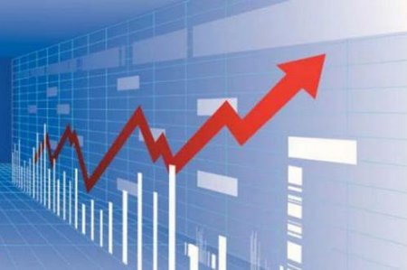MASALLI RAYONUNUN SOSİAL İQTİSADİ İNKİŞAFININ MAKROİQTİSADİ GÖSTƏRİCİLƏRİ AÇIQLANMIŞDIR - STATİSTİKA