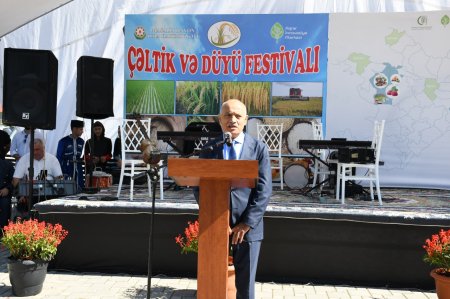 Masallıda “Çəltik və Düyü” festivalı