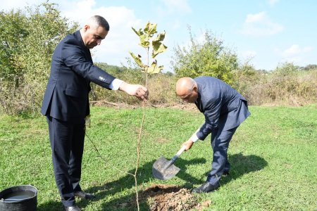 Kanstitusiya və Suverenlik ili” ilə əlaqədar ağacəkmə aksiyası 16.10.2025