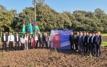 Masallıda “Konstitusiya və Suverenlik ili” ilə əlaqədar ağacəkmə aksiyası 31.10.2025