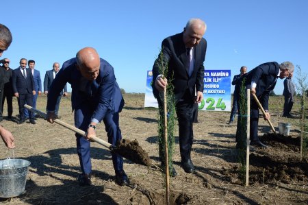 Masallıda növbəti dəfə kütləvi ağacəkmə aksiyası keçirildi