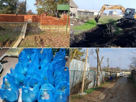 Masallıda abadlıq və xeyriyyə işləri 01-15 dekabr 2025