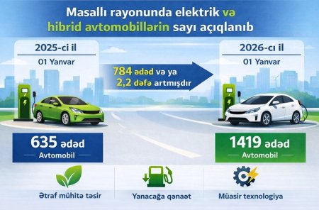 Masallı rayonunda elektrik və hibrid mühərrikli avtomobillərin sayı əvvəlki ildən 2,2 dəfə artmışdır - Statistika