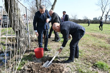 Hişkədərə ərazisində “Şəhərsalma və Memarlıq İli” ilə əlaqədar ağacəkmə aksiyası 04.03.2026