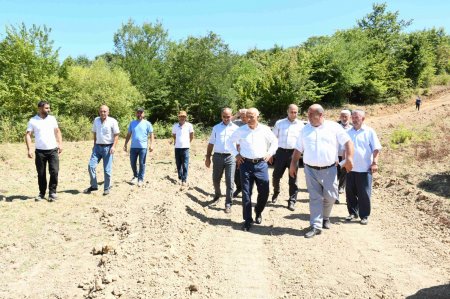 Masallıda Həmzəro dağına gedən yolun vəziyyətinə baxış keçirilib