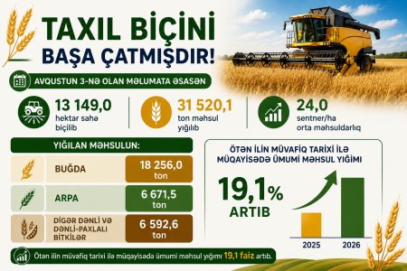 Masallı rayonunda 2026-cı ilin taxıl biçini başa çatmışdır