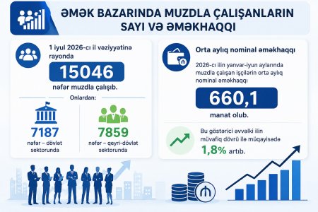 Masallı rayonunda əmək bazarının göstəriciləri açıqlanıb - Statistika