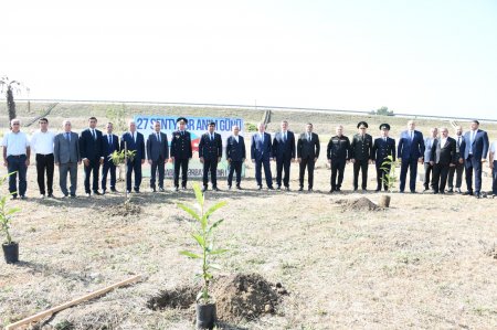 Masallıda 27 Sentyabr – Anım Günü ilə əlaqədar silsilə ağacəkmə aksiyaları keçirilib
