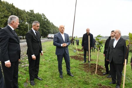 Rayonun Ərkivan qəsəbəsində Zəfər Gününə həsr olunmuş ağacəkmə aksiyası